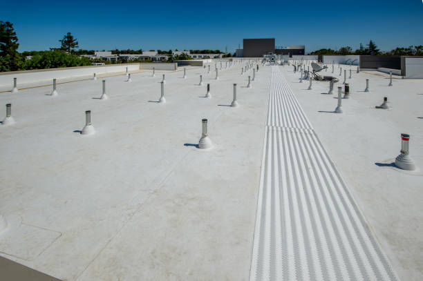 Best Roof Maintenance and Cleaning  in Sheffield Lake, OH